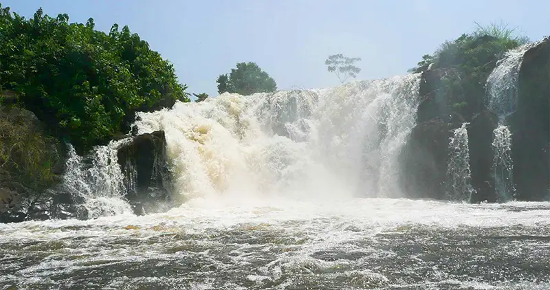 chute de la lobe