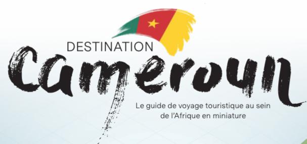 destination Cameroun